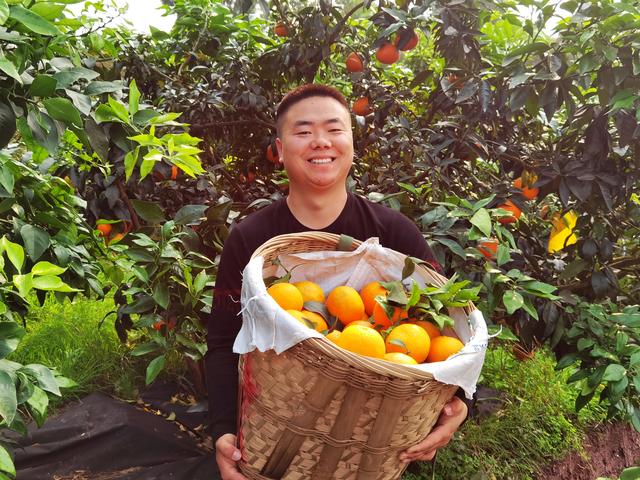 中国橘乡父母官 杭州组队齐吆喝 井研柑橘成“网红水果”