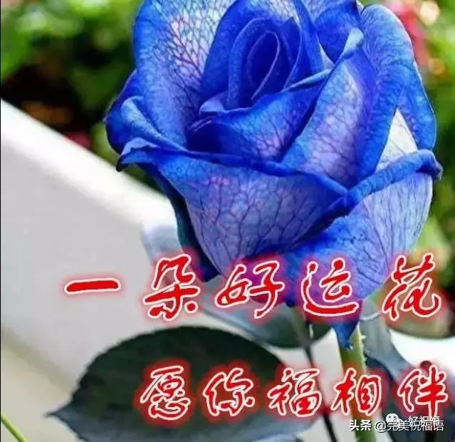 不管|初二早上好不管你身在何方 收到这份祝福你就是最有福的