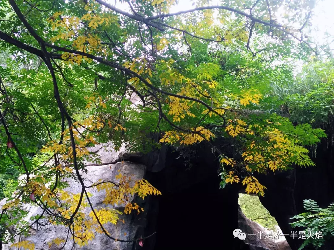 散文诗：中秋 · 读雨-第4张图片-诗句网