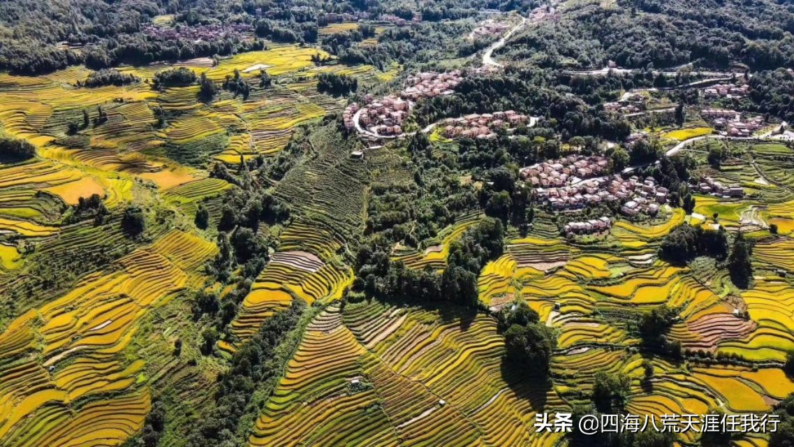 秋天，出去走一走，看看美景吹吹风
