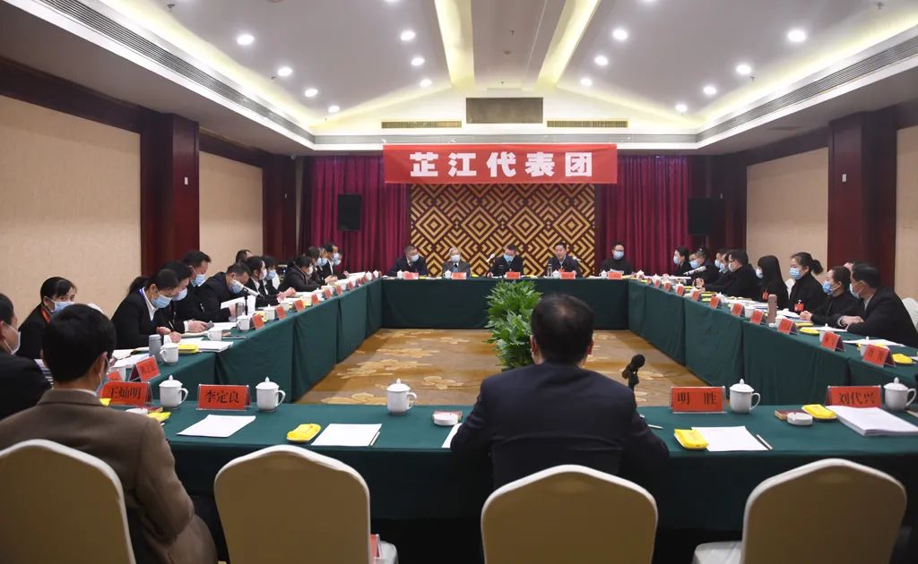 【图片新闻】市五届人大五次会议各代表团举行分组讨论