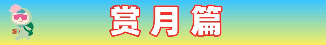 重庆人元宵节该怎么过？大渡口看灯会，悦来点花灯，鸿恩寺赏月