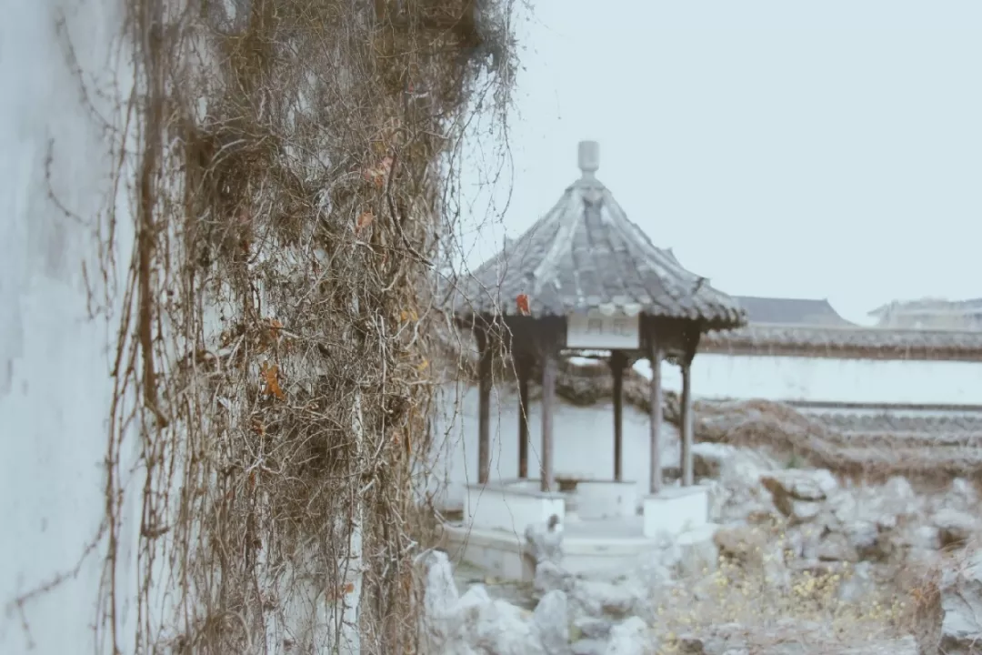 你家下雪了吗?我在扬州,它下雪了