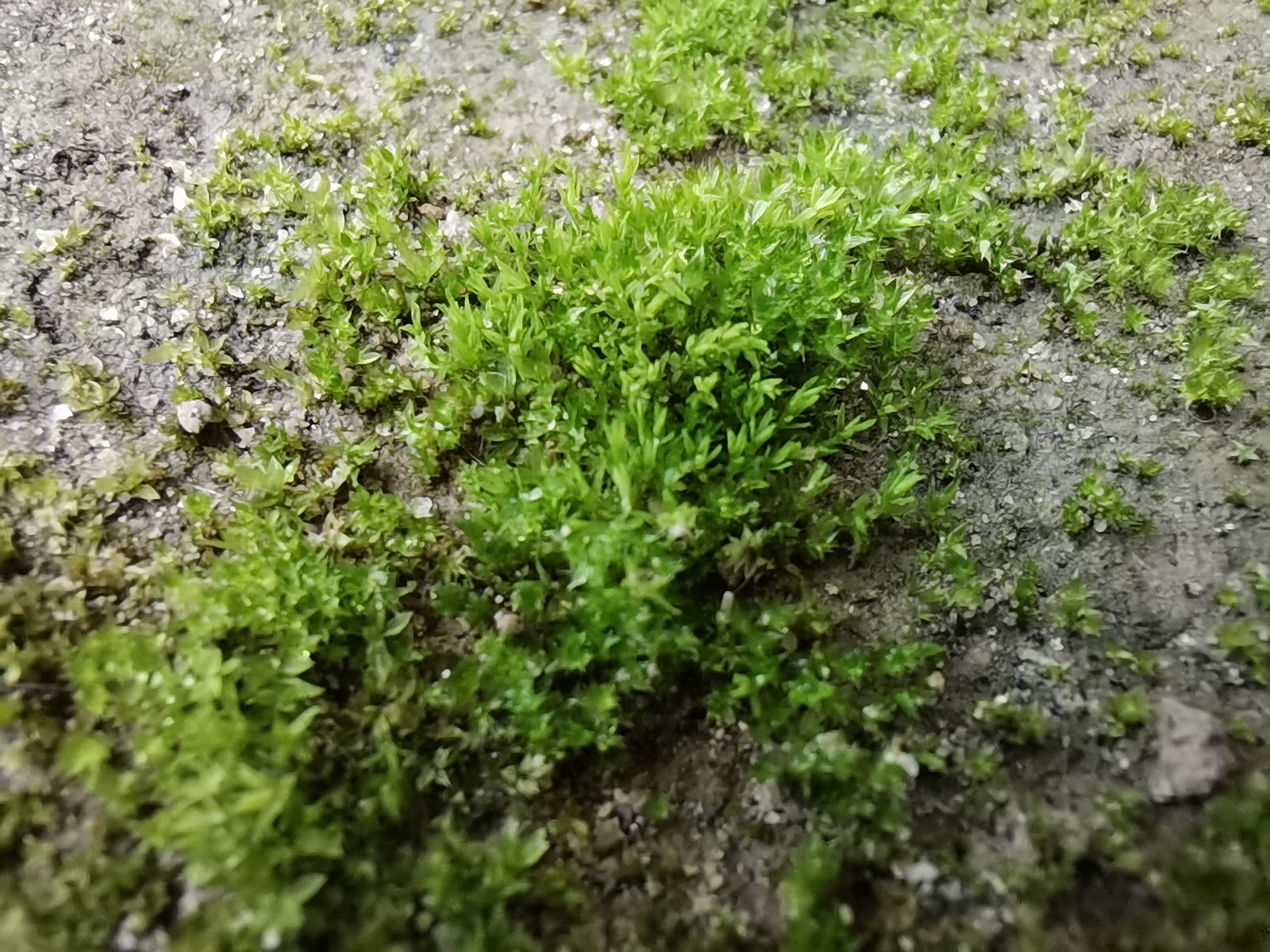 雨敲窗棂，守一份心灵的宁静-第2张图片-诗句网