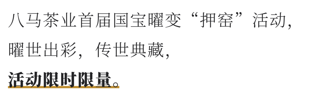 「陆金喜×八马」共续千年茶盏佳话 共扬中华文化之美