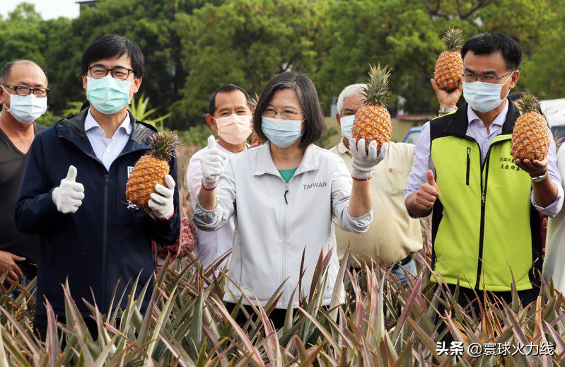 菠蘿被禁還只是開始？ 台灣國民黨前官員：大陸可能要取消對台綠色通道