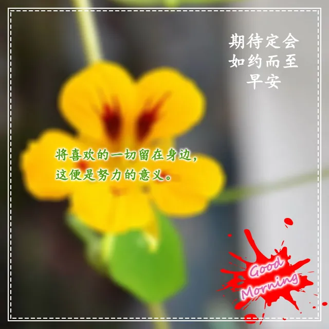 清晨各种问候语的动态图片 有趣的早安问候语和图片图片