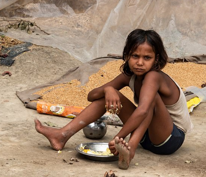 联合国警告：世界粮食面临严峻问题，亚洲将出现大饥荒