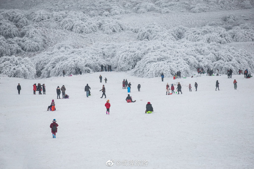 重庆冬季旅游的两极：去仙女山赏雪，去巫山看红叶，都有直飞航线