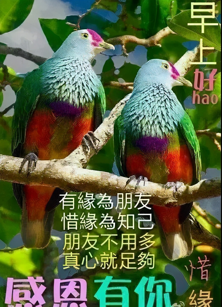 一辈子好短，对自己好一点儿，忙碌的你，要注意休息。早安