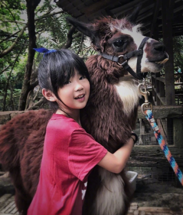 11岁曹华恩逆袭式长大，眉目清秀越来越像妈，曾儿时录综艺被嫌丑