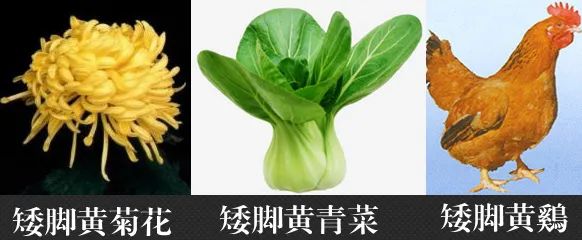 股市早8点丨镰刀就是不让韭菜长高