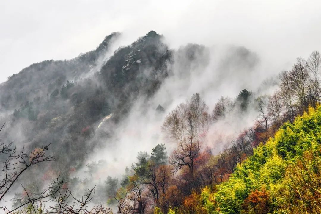 庚子年·打卡鸡公山