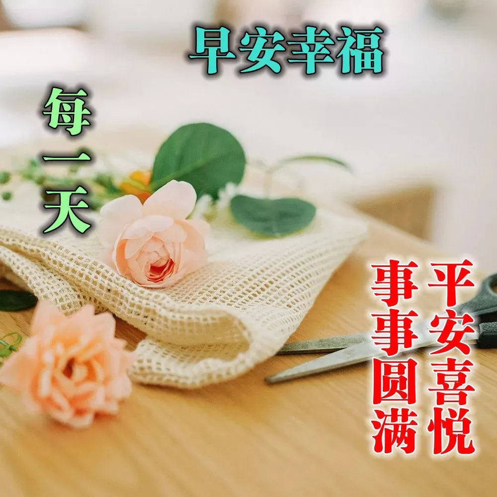 好看的早上好的祝福语图片大全，唯美早上好动态表情包图片