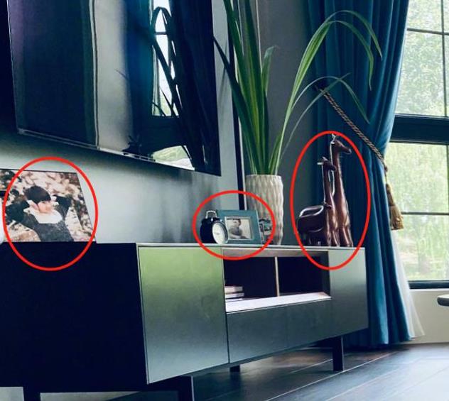 张亮晒照为女儿庆生，谁注意了他豪宅内的东西