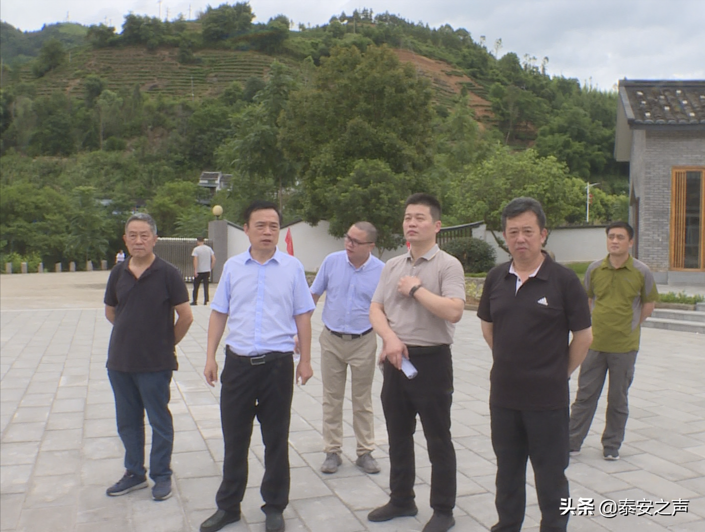 研习技艺 提升品质丨“泰山红茶”工艺研修班福建福安举办