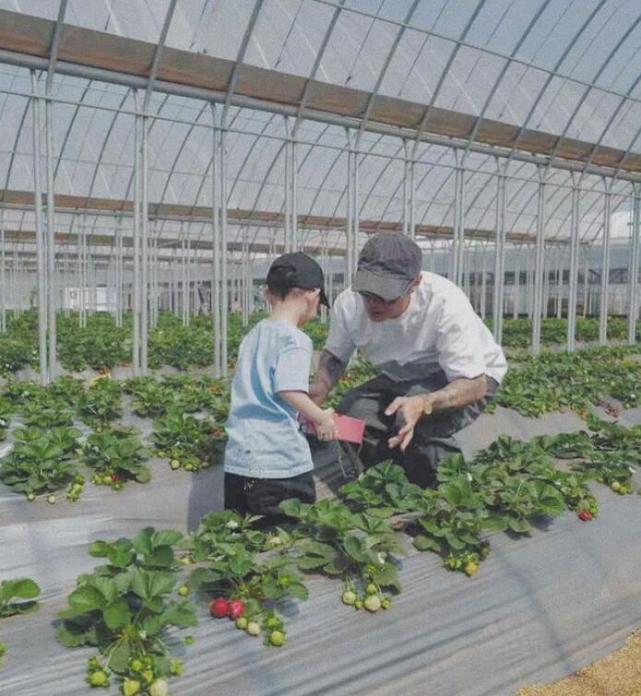 余文樂老婆曬孕期照，生產前7週不顯懷，網友：肚子太小不可思議