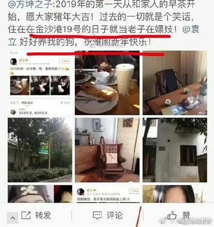 袁立为什么从百花奖女配变成人人嘲笑的“偷狗”贼