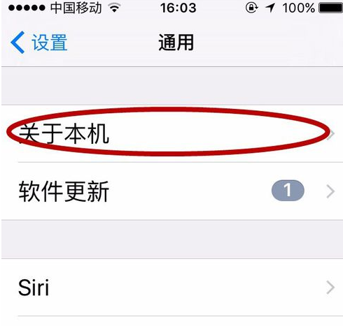 iPhone 11怎么查询激话時间？iPhone手机激活時间的如何查询