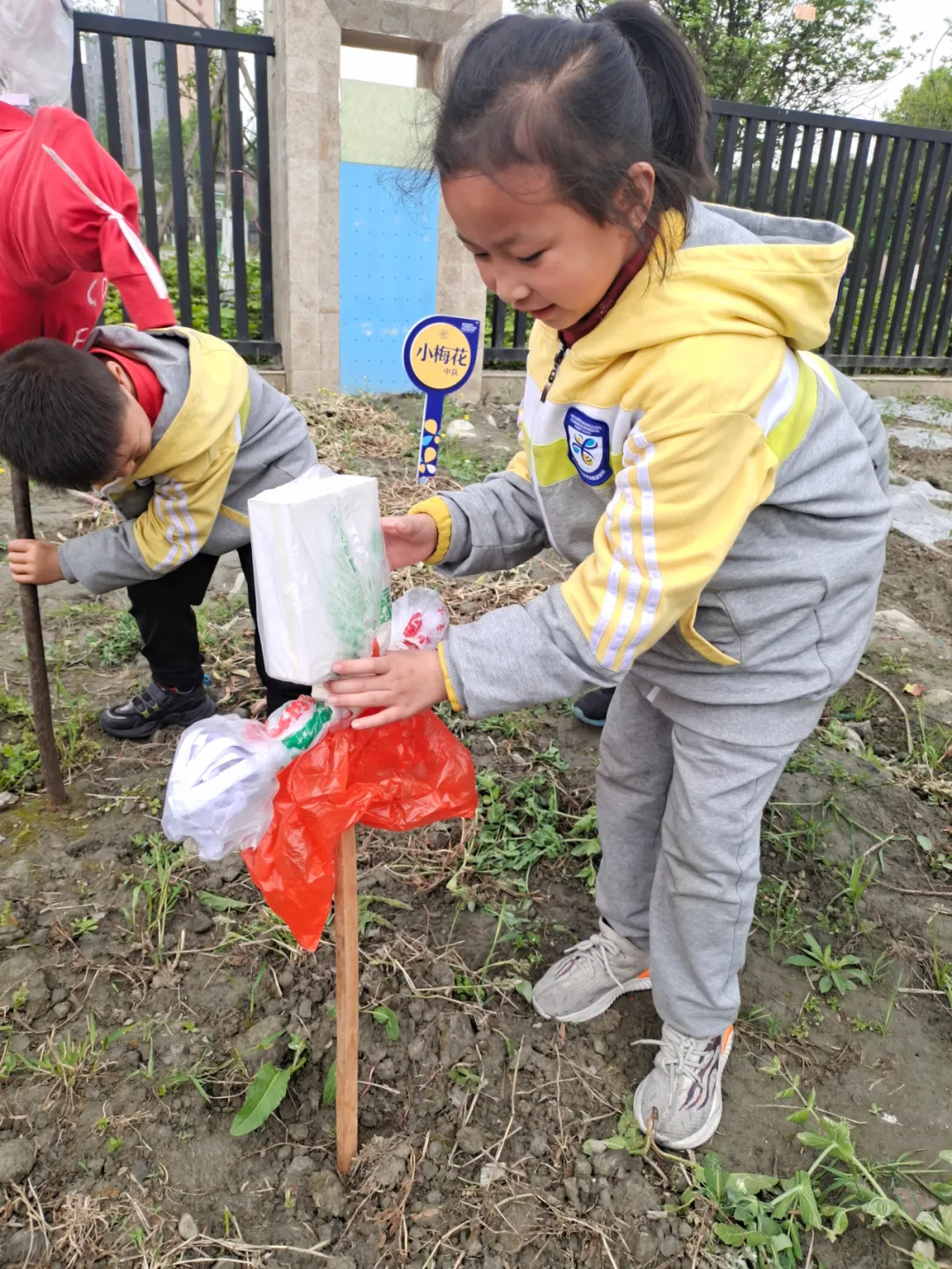 双流区实验小学外国语学校丨最美人间四月天 幸福农场齐生长