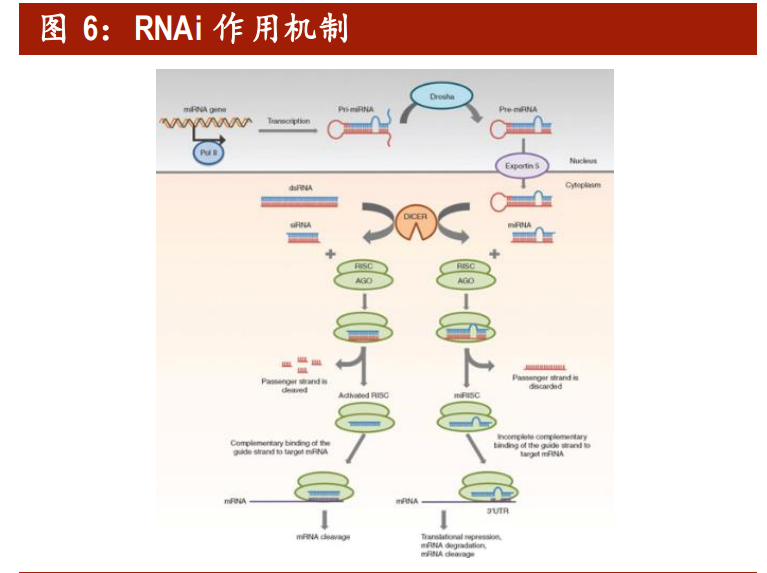 医药行业深度报告：拥抱生物医药第三次革命，基因治疗根基稳固