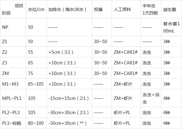 關(guān)于南美白對(duì)蝦育苗，一定要知道的干貨（四）