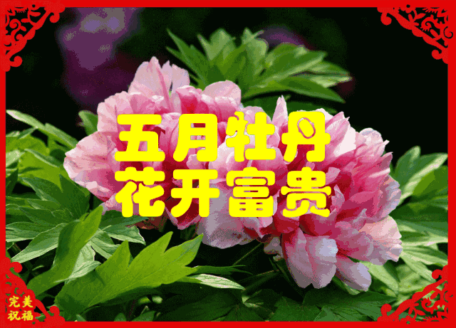 今日元宵节，祝福送上