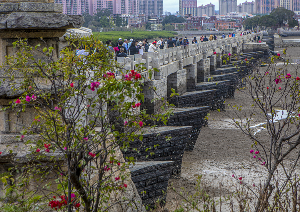 福建泉州的洛阳桥，是中国四大名桥中，唯一免收门票的千年古桥