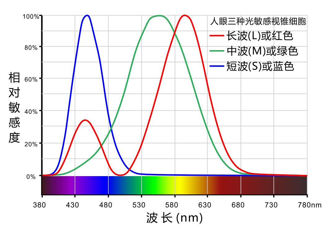 四川发现5厘米巨型萤火虫！萤火虫发光是因为看不见路吗？