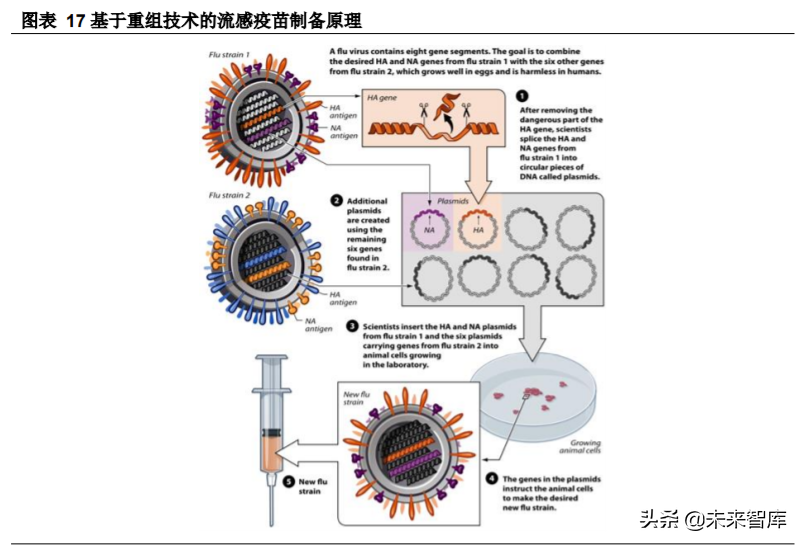 生物医药行业专题报告：抗流感市场快速增长