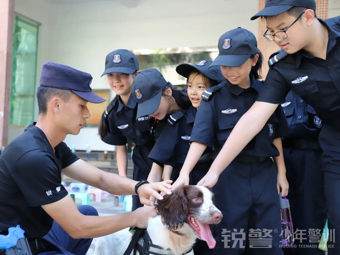 广东警官学院少年警训夏令营：这是成长该有的样子