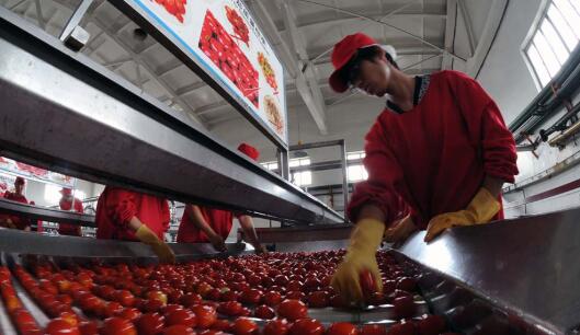 日本大企业停止进口中国的西红柿，面对挑衅，