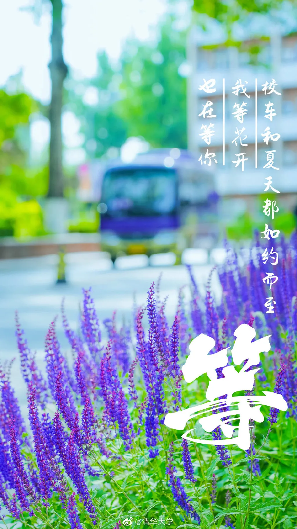 明天,一定行