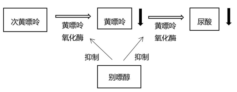 长期痛风就用3类药，有效排出尿酸，减轻症状！专家教你如何选