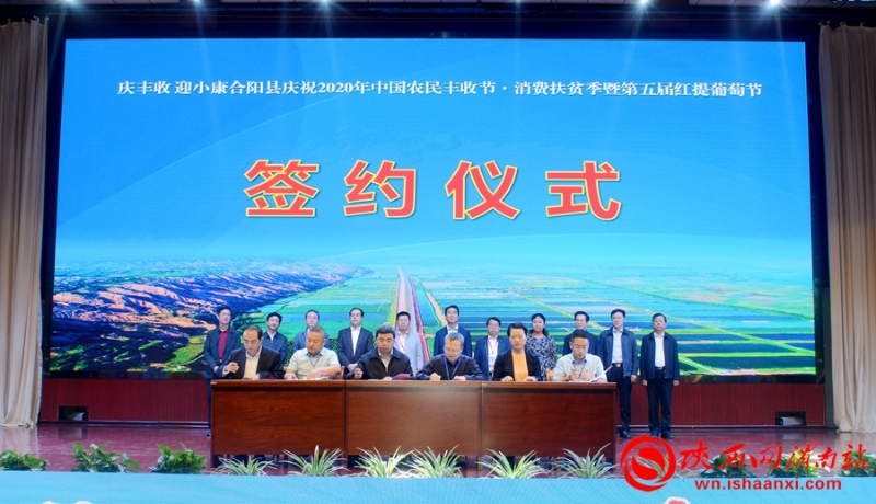 合陽縣2020年農(nóng)民豐收節(jié)暨第五屆紅提葡萄節(jié)開幕（組圖）