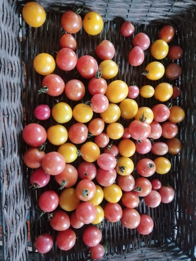 Now heat green " coloring " problem