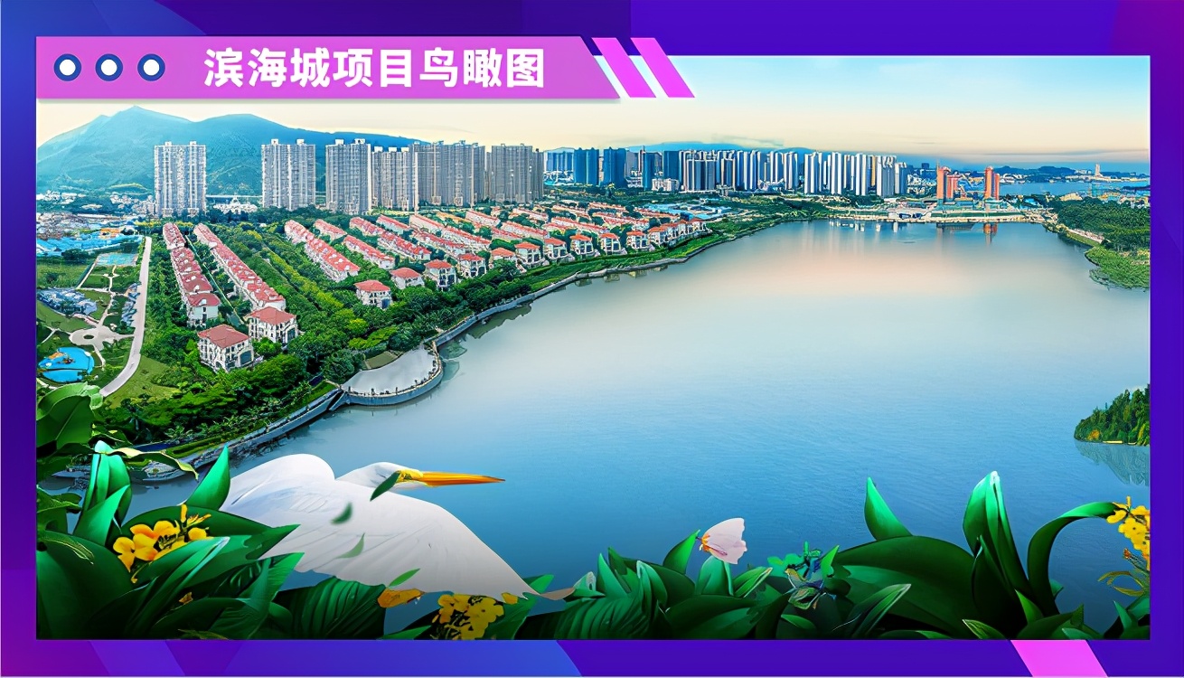 合生粤东X合宝宝马｜硬“合”CP，在线撒糖