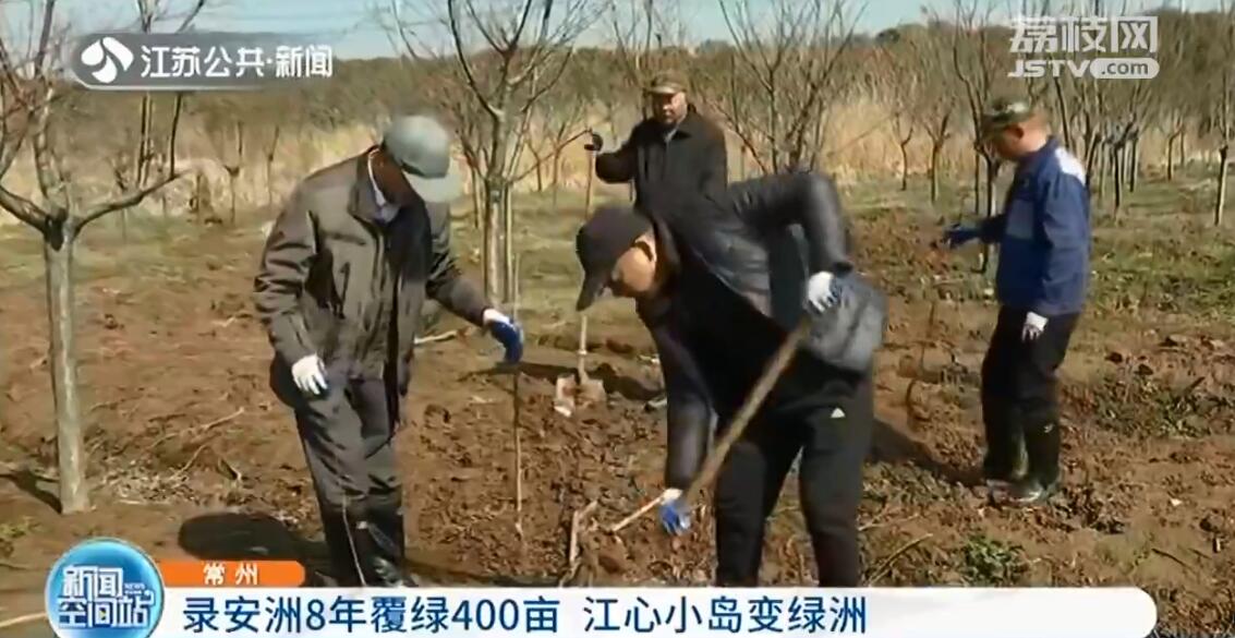 带2000多居民用8年把小岛种成绿洲！老书记：最希望百姓开心幸福