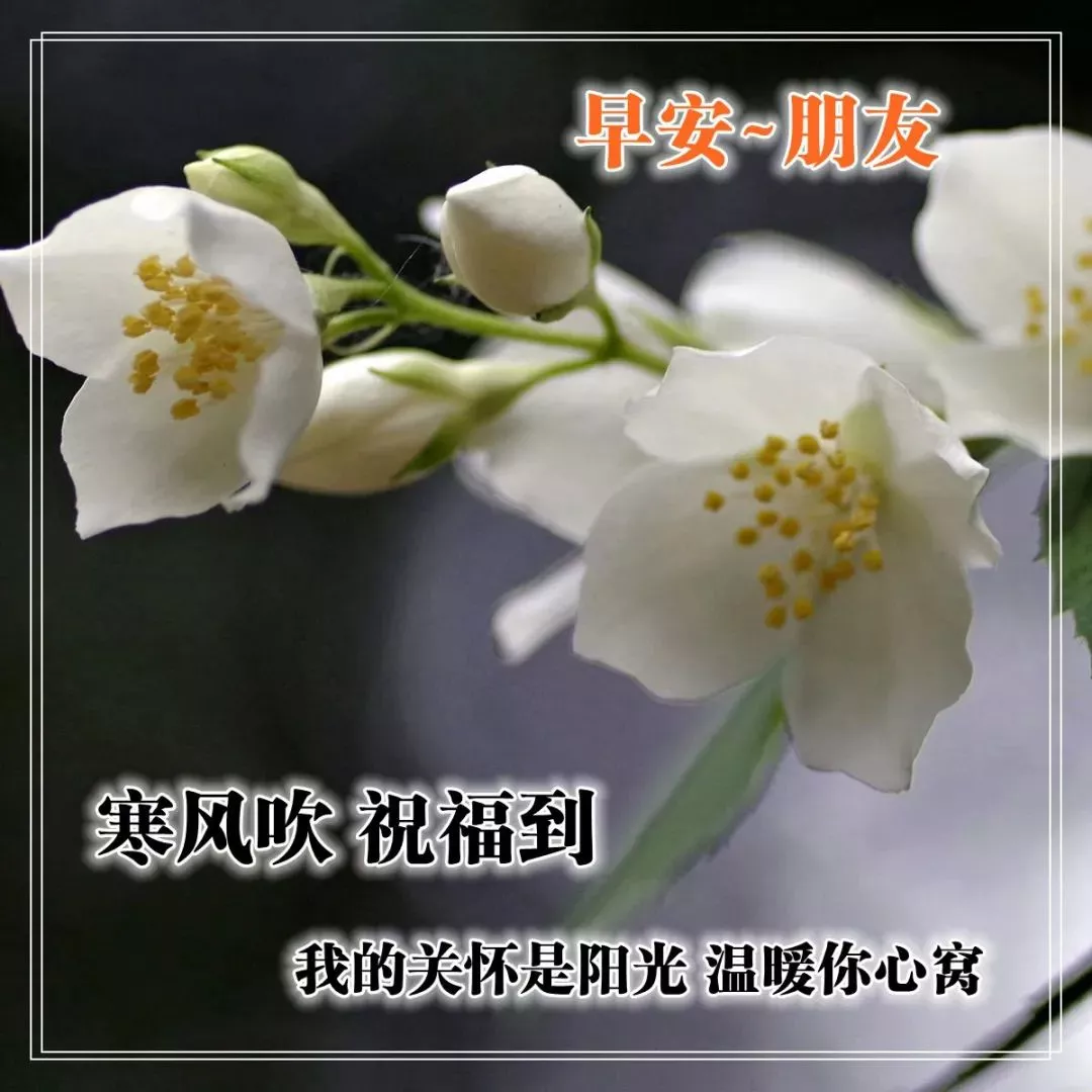 %title插图%num 早上好图片 祝福语问候语 早上好问候专辑 问候语大全