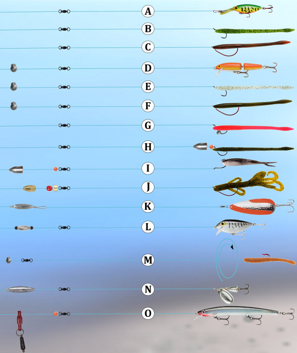 一张图看懂15种「路亚钓组」硬饵软饵