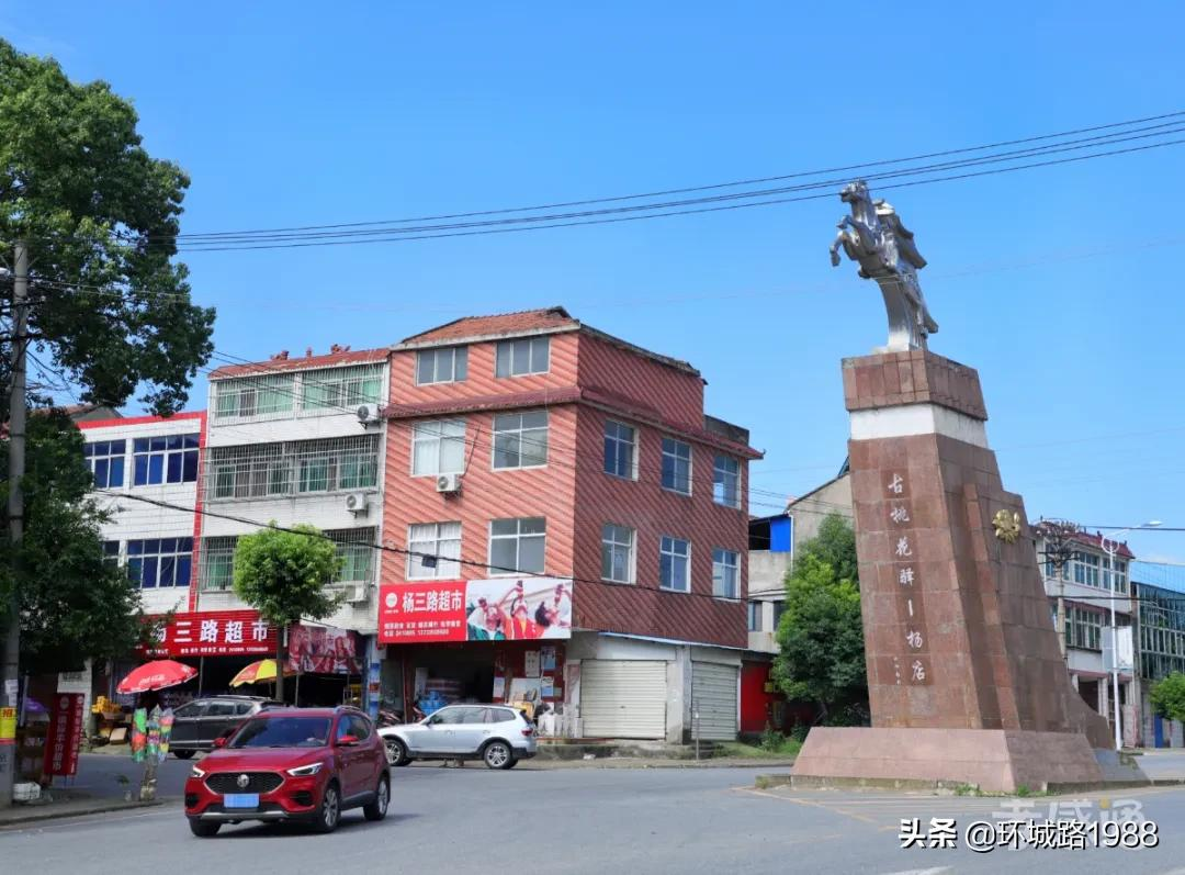 这里是,杨店