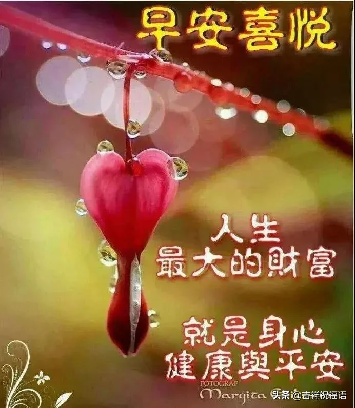 早上好问候语图片 早安祝福语漂亮图片图片