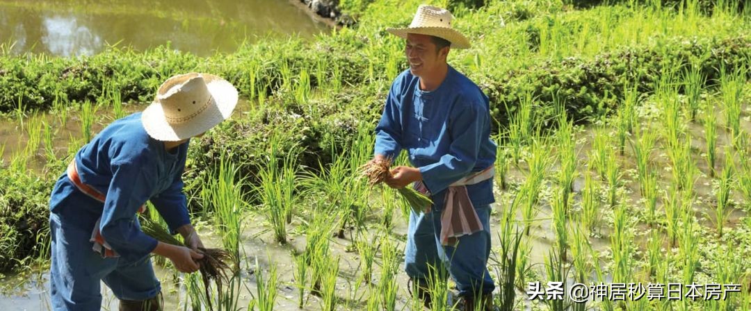 在日本首都圈工作的白领们，竟然开始想当农民了