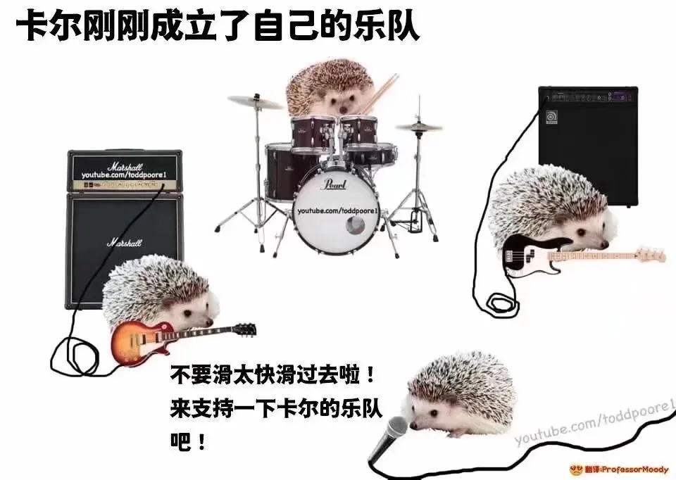 存的卡尔梗图合集,不要再叫人家小刺球子了