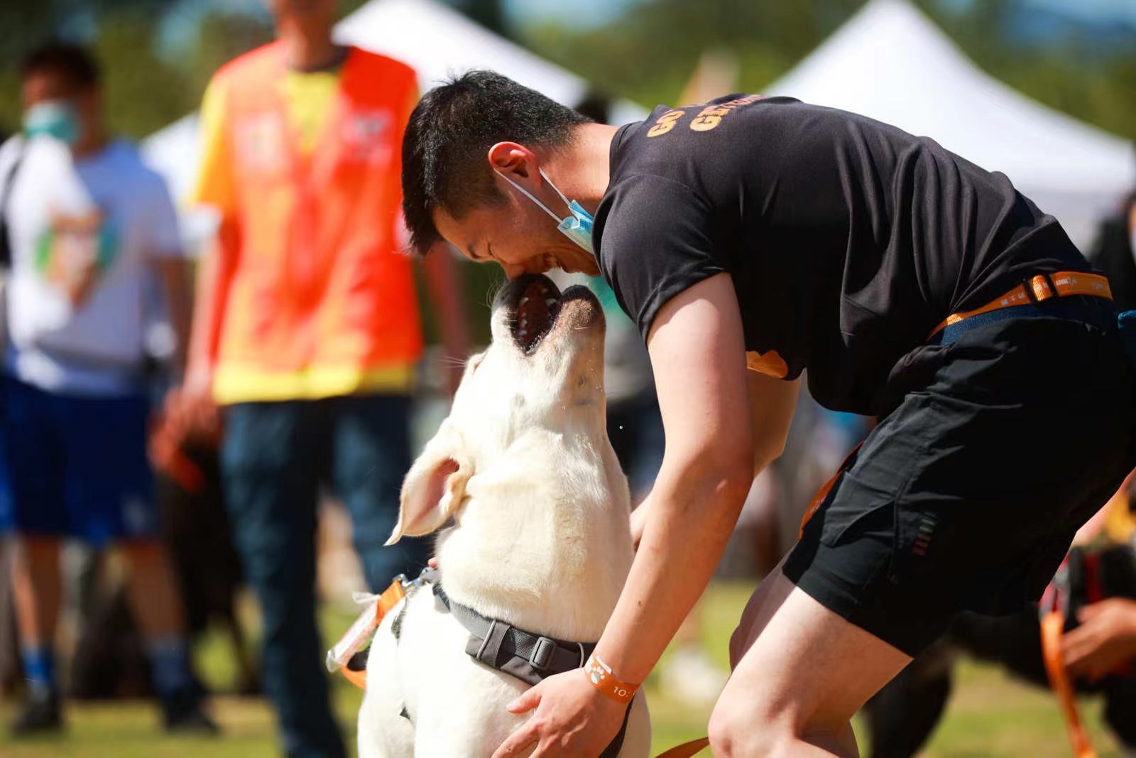 2021狗巴迪勇士赛首站登陆北京 人犬合作征战障碍赛