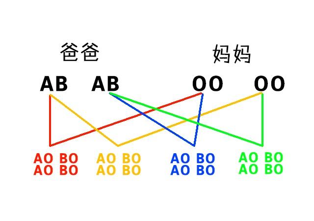 父母与子女血型的关系，血型遗传规律表