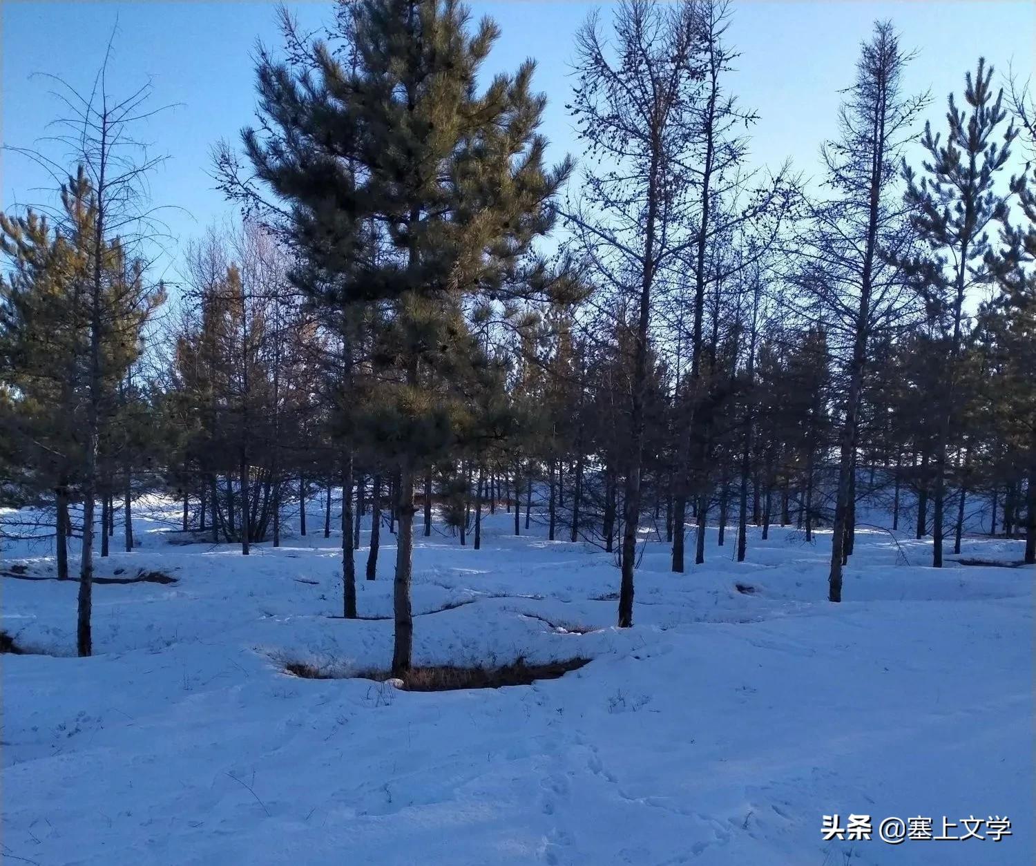 散文诗：寒衣节，写给思念的父亲-第8张图片-非凡网