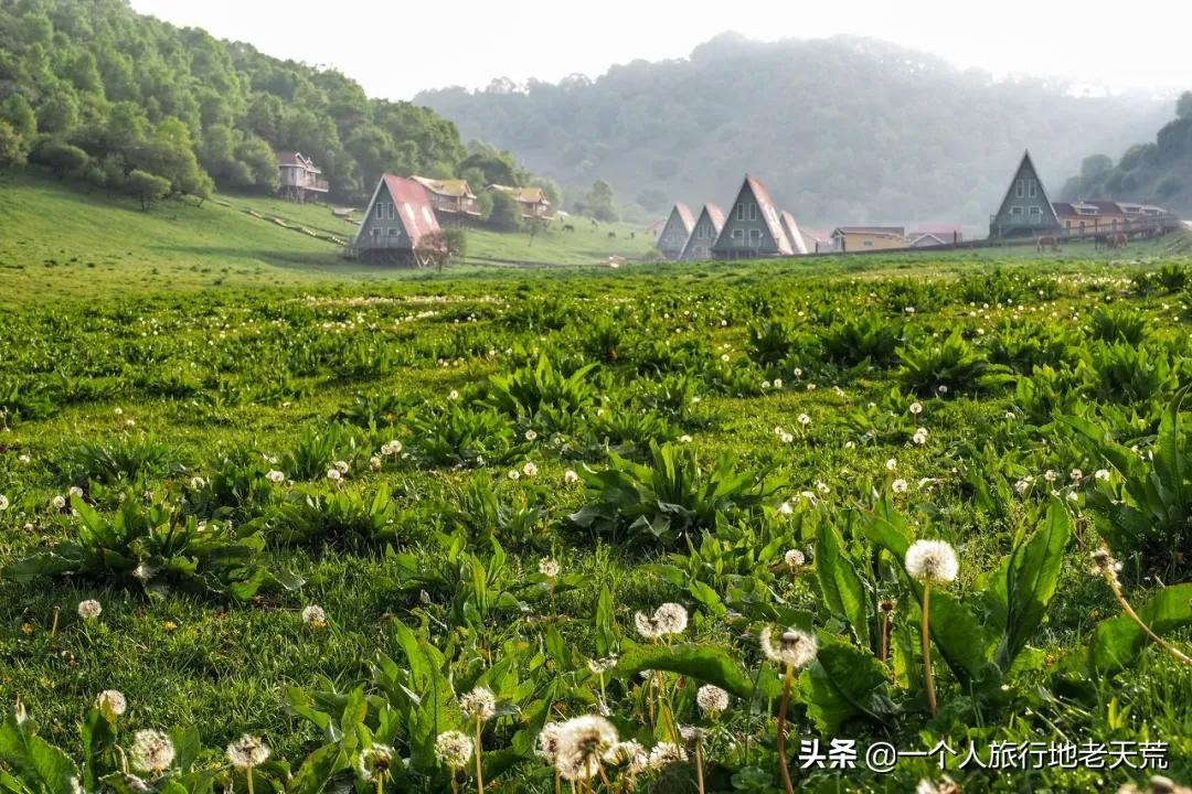这座低调的宝藏老城被西安光芒掩盖，却是中国最具性价比的旅行地