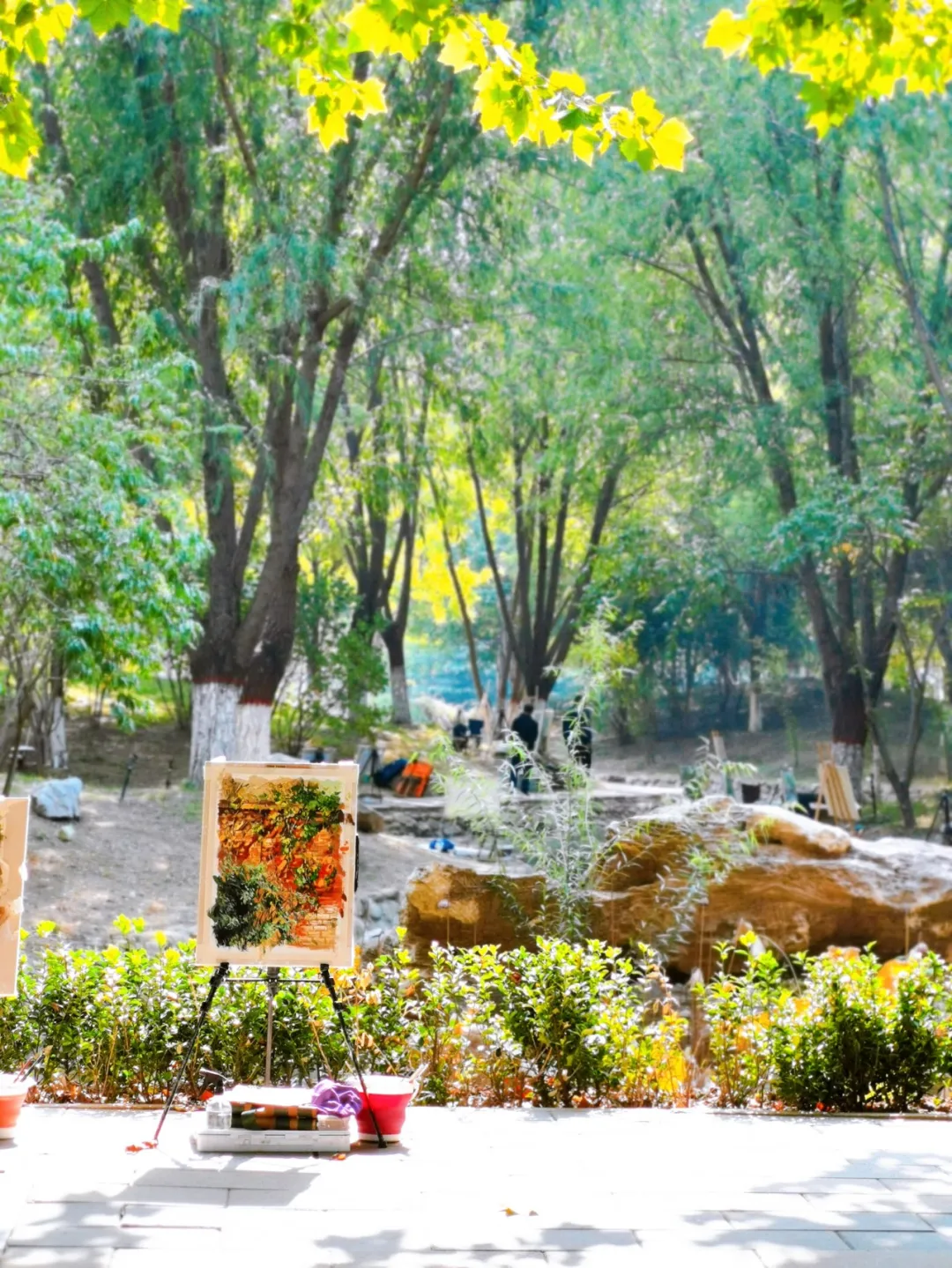 河北各高校秋景来了,有你的校园记忆吗?