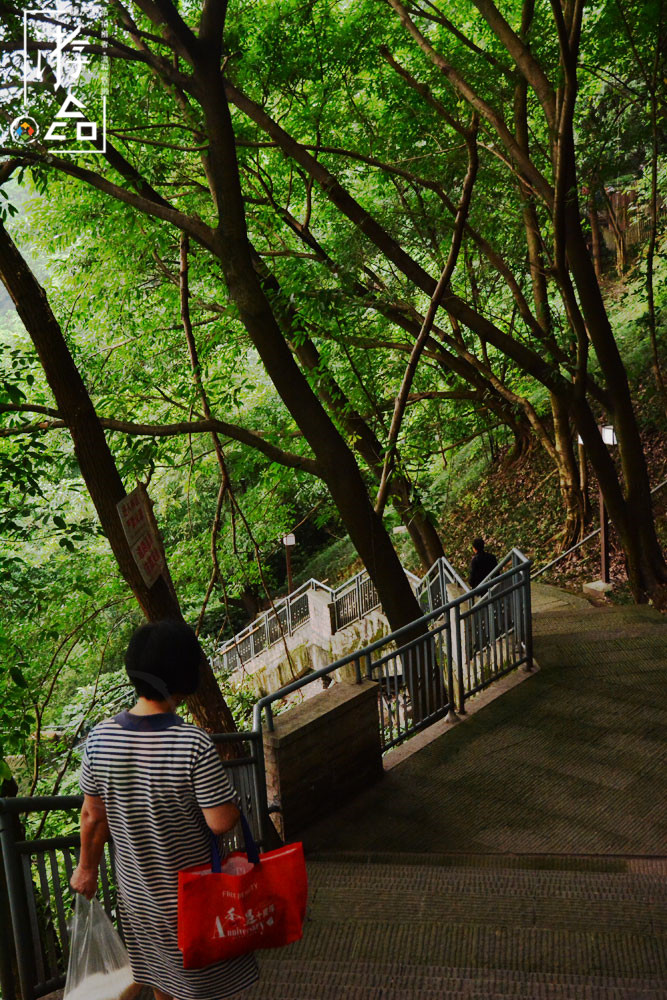 在重庆佛图关寻找“巴山夜雨”，爬完数不尽的台阶，结果令人失望